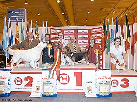 dogs breeders dog pictures